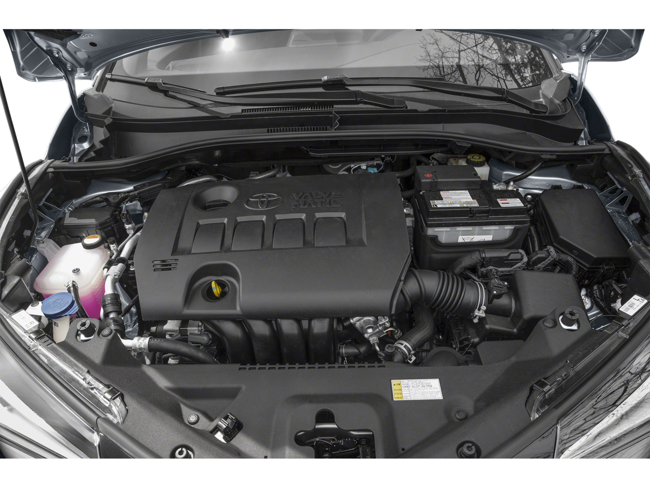 2019 Toyota C-HR Limited FWD