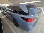 2025 Honda ODYSSEY SPORT