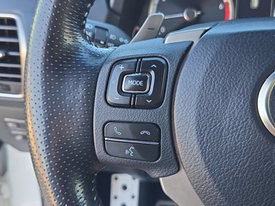 2019 Lexus NX F SPORT