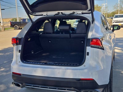 2019 Lexus NX F SPORT