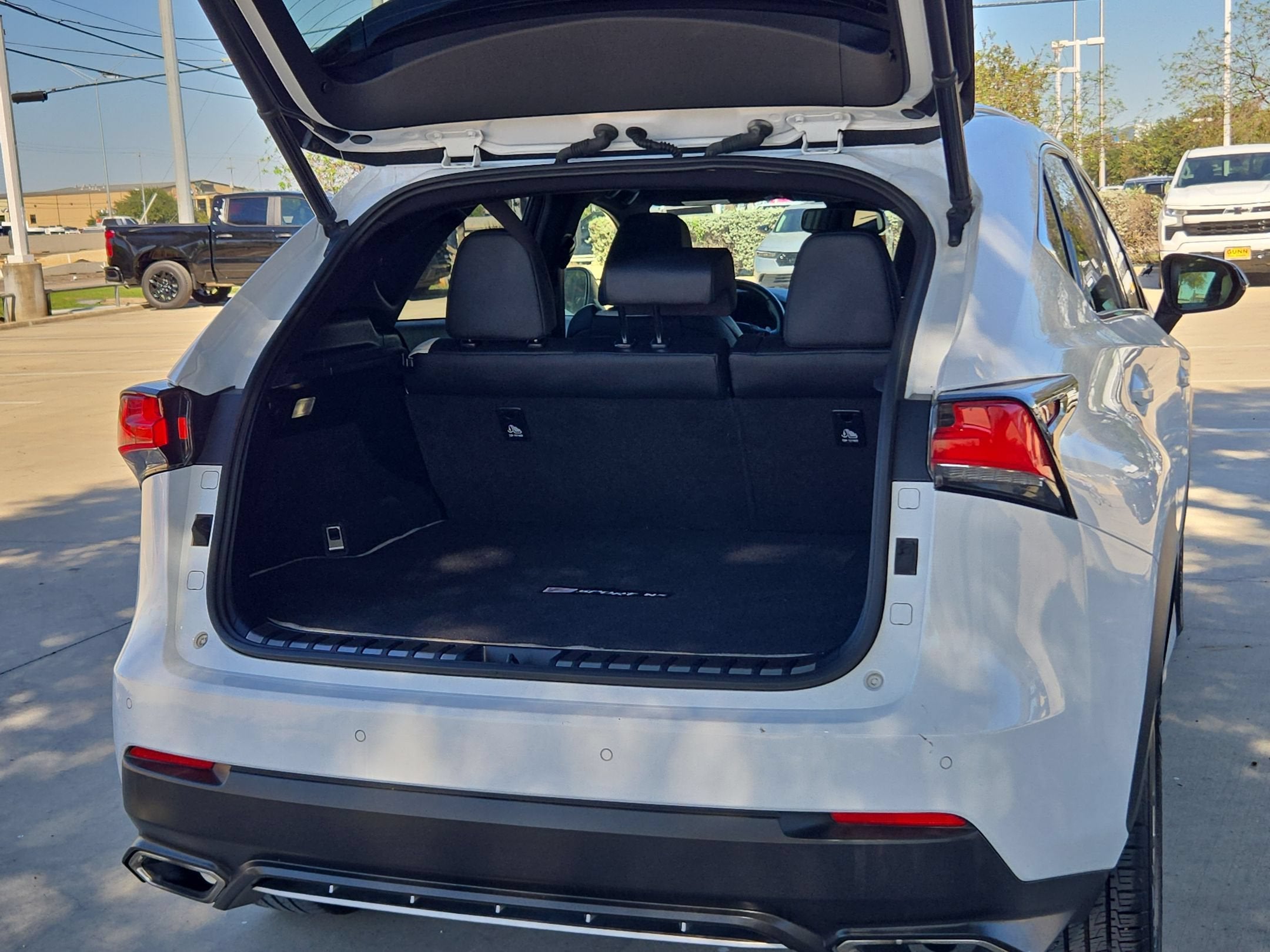 2019 Lexus NX F SPORT