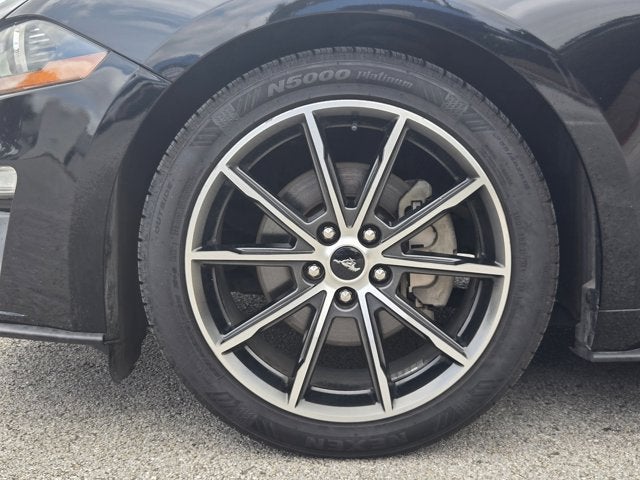 2019 Ford Mustang Base