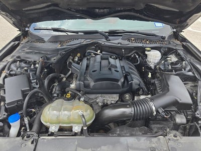 2019 Ford Mustang Base