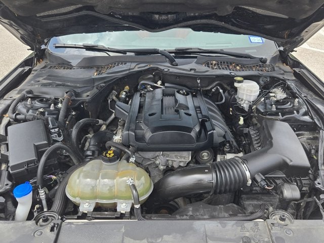 2019 Ford Mustang Base
