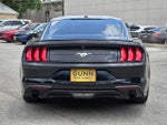 2019 Ford Mustang Base