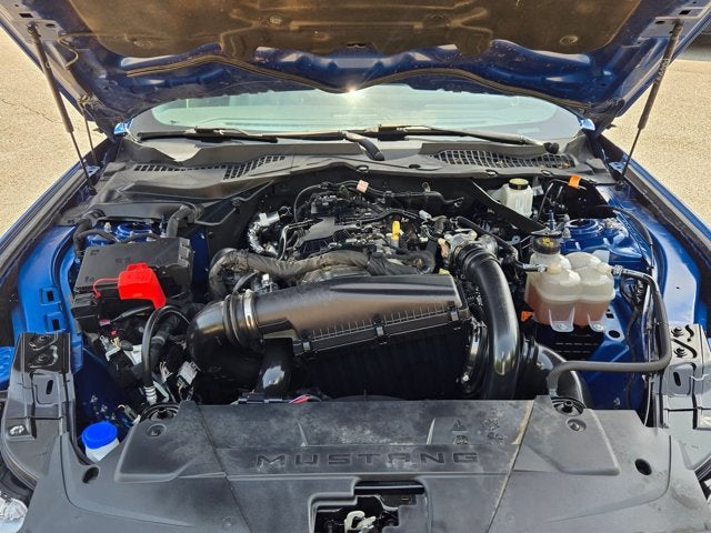 2024 Ford Mustang Base