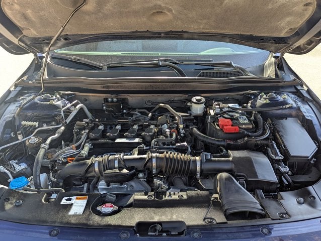 2019 Honda Accord Sedan LX 1.5T