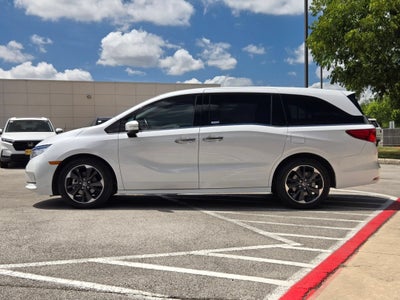 2024 Honda Odyssey Elite
